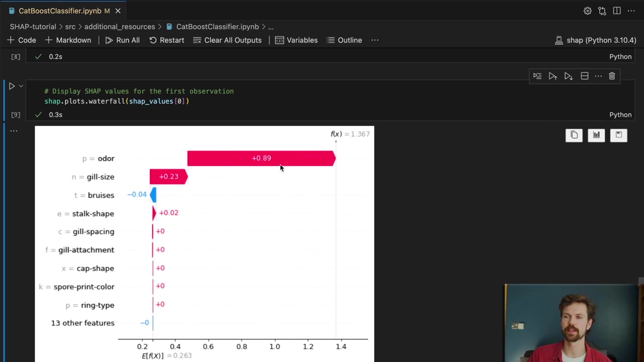 CatBoost waterfall from the video showing one odor feature with category p and a positive contribution.
